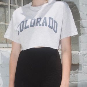 Brandy Melville Colorado crop top